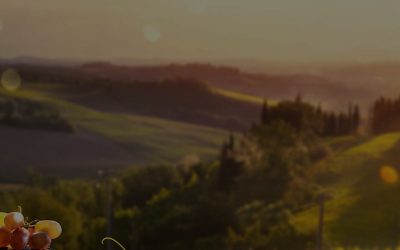 Global Winery Gains Cost Advantage