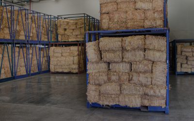 Aligning Sales and Supply Chain Planning case study