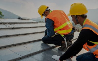 Dynamic Demand Forecast & Demand Planning case study