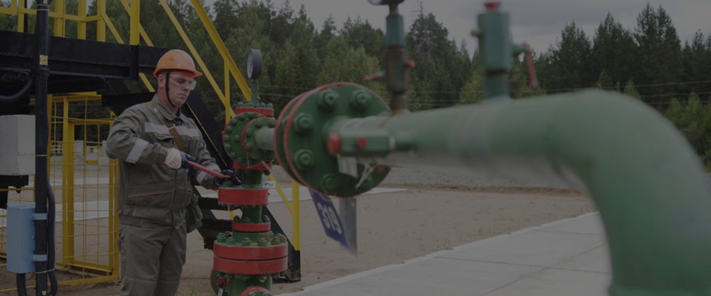 Design and Development of Advanced Metal Seals in Casing Hanger