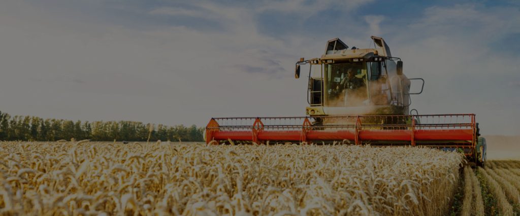 Simulation-based optimization to minimize stock obsolescence for a multi-echelon supply chain network