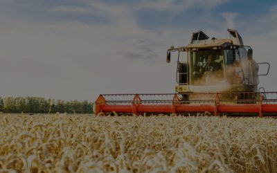 Simulation-based optimization to minimize stock obsolescence for a multi-echelon supply chain network