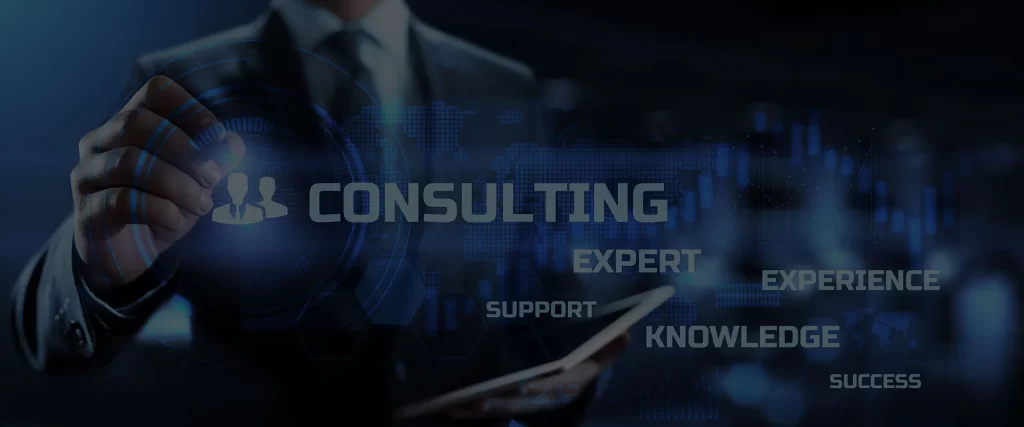 Global Applications & BI Support, BI Development and Business Consulting Services