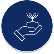 5500-Saplings-Planted