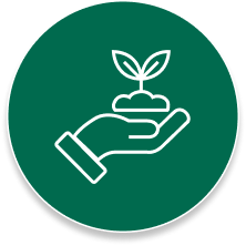 Create-Sustainable-Urban-Spaces