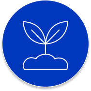 Urban-Plantation-Drives