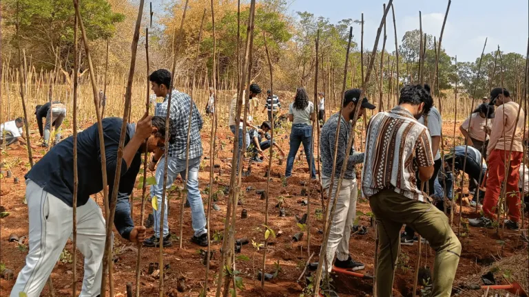 Plantation-Drive-768x432