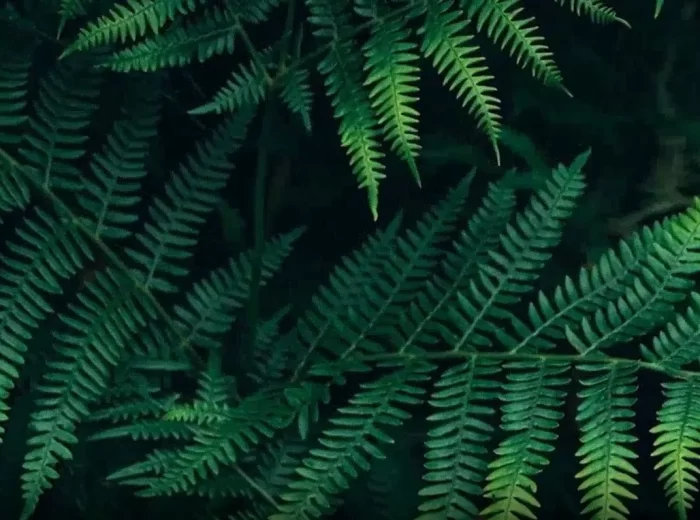 Screenshot-2023-11-24-180338